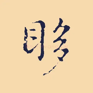 眵