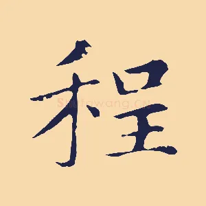 程