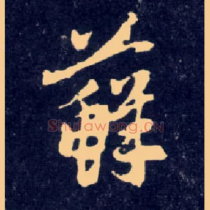 藓