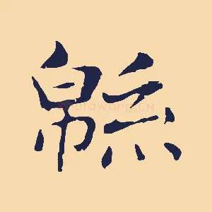 綿