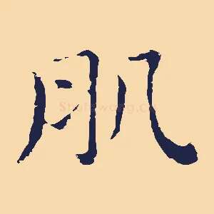 肌