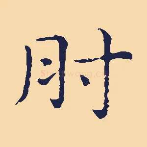肘