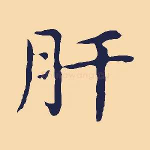 肝