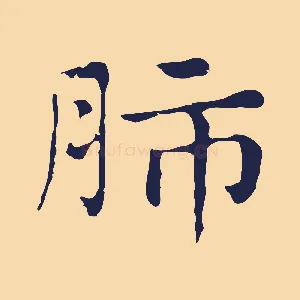 肺