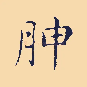 胂