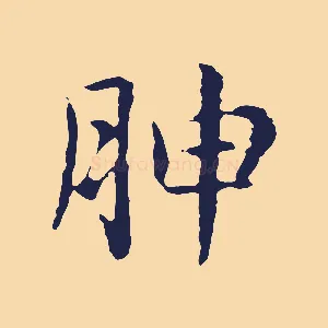胂