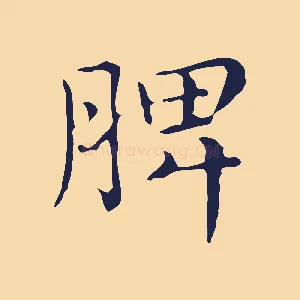 脾