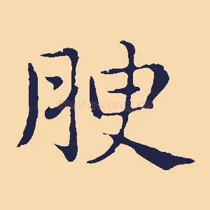 腴