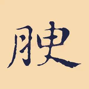 腴