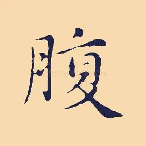 腹