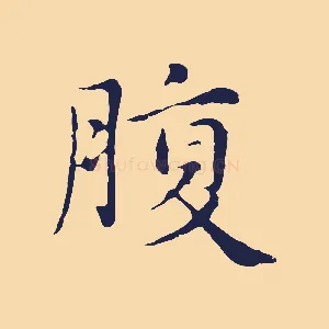 腹
