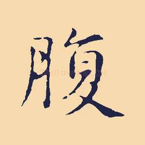 腹