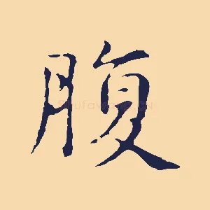 腹