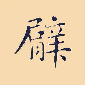 臂