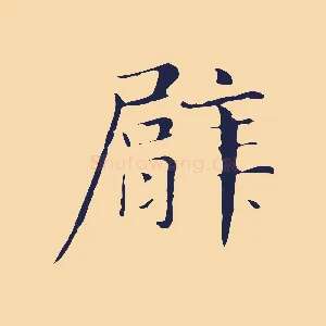 臂