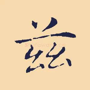 茲
