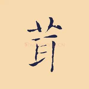 茸