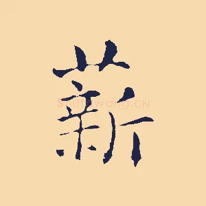 薪