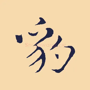 豹
