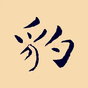 豹