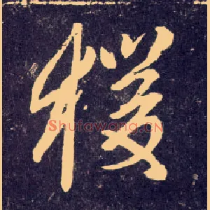 猨
