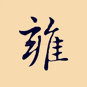 雍