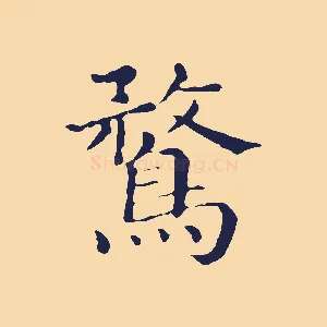 鶩