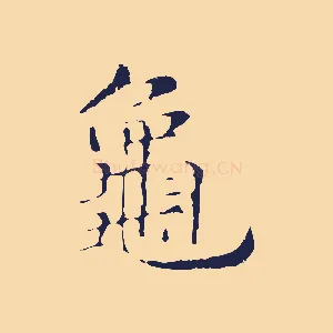 龜