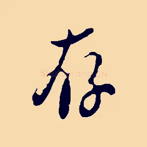 存