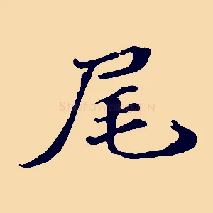 尾