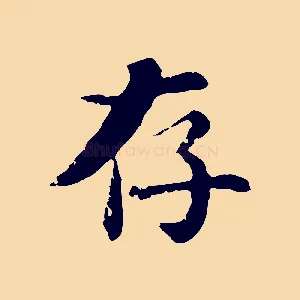存
