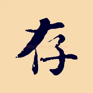 存