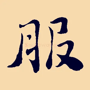 服