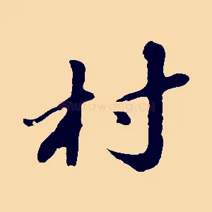 村