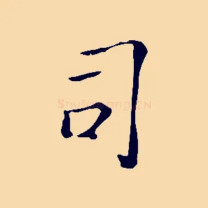 司
