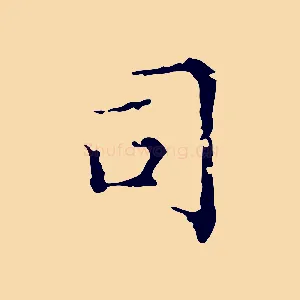 司