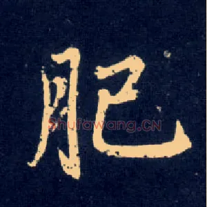 肥