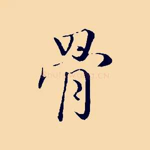 骨