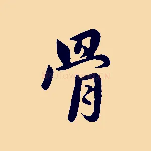 骨