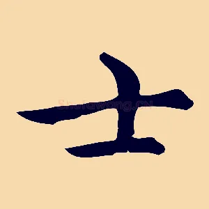 士