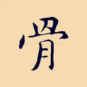 骨