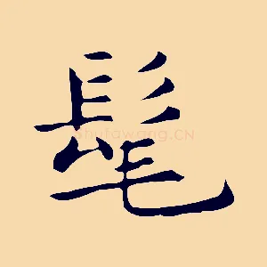 髦
