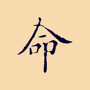 命