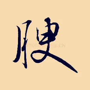 腴