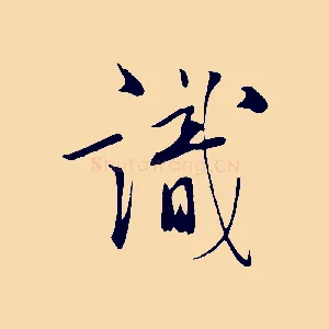 識