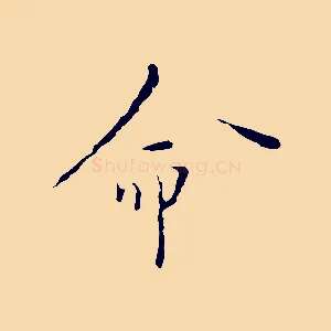 命