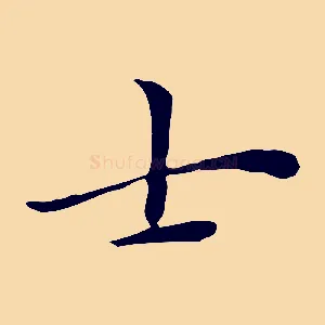 士