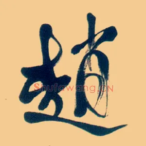 赵