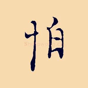 怕