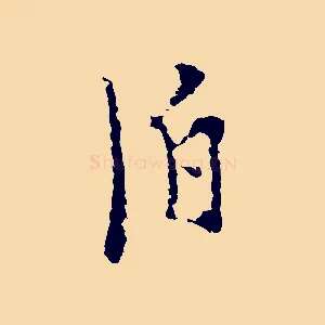 泊